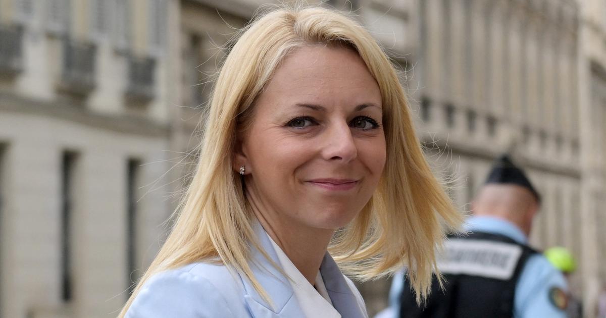 Edwige Diaz, une « soldate » de Marine Le Pen pour installer durablement le RN au Sénat