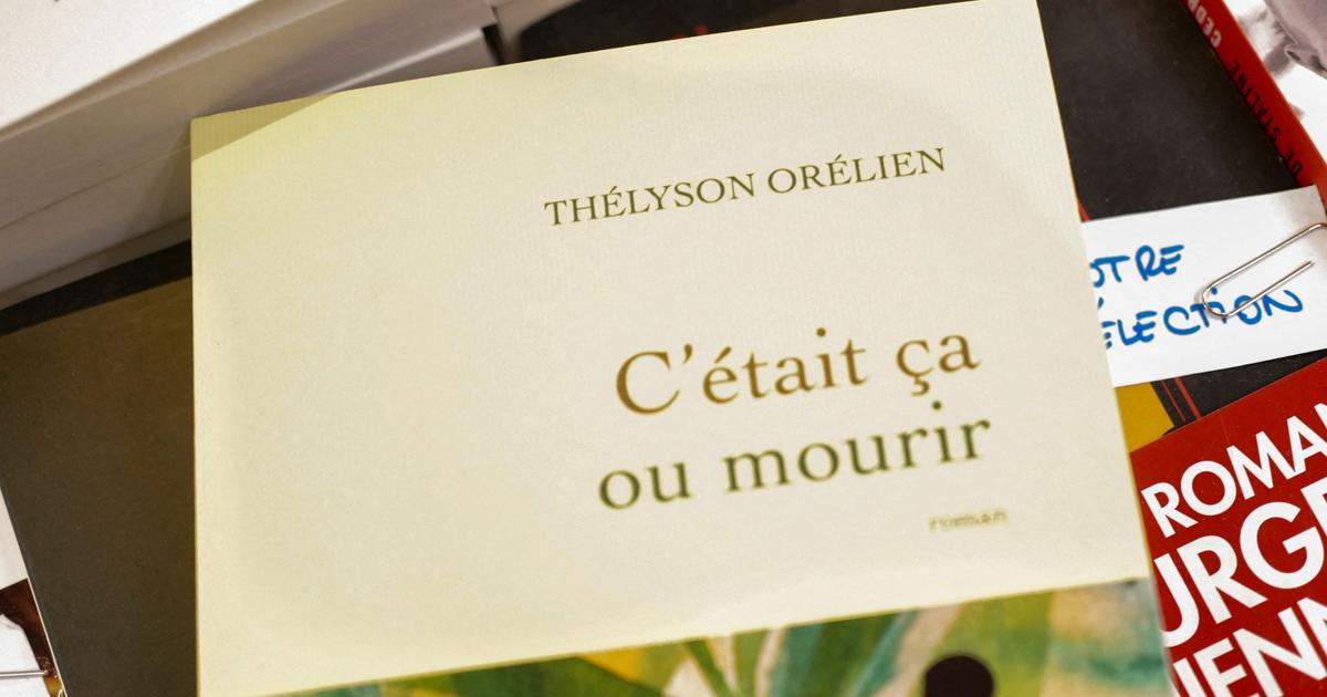 Paulin Césari : « Affaire Thélyson Orélien, cette mort sociale qui en annonce d’autres »