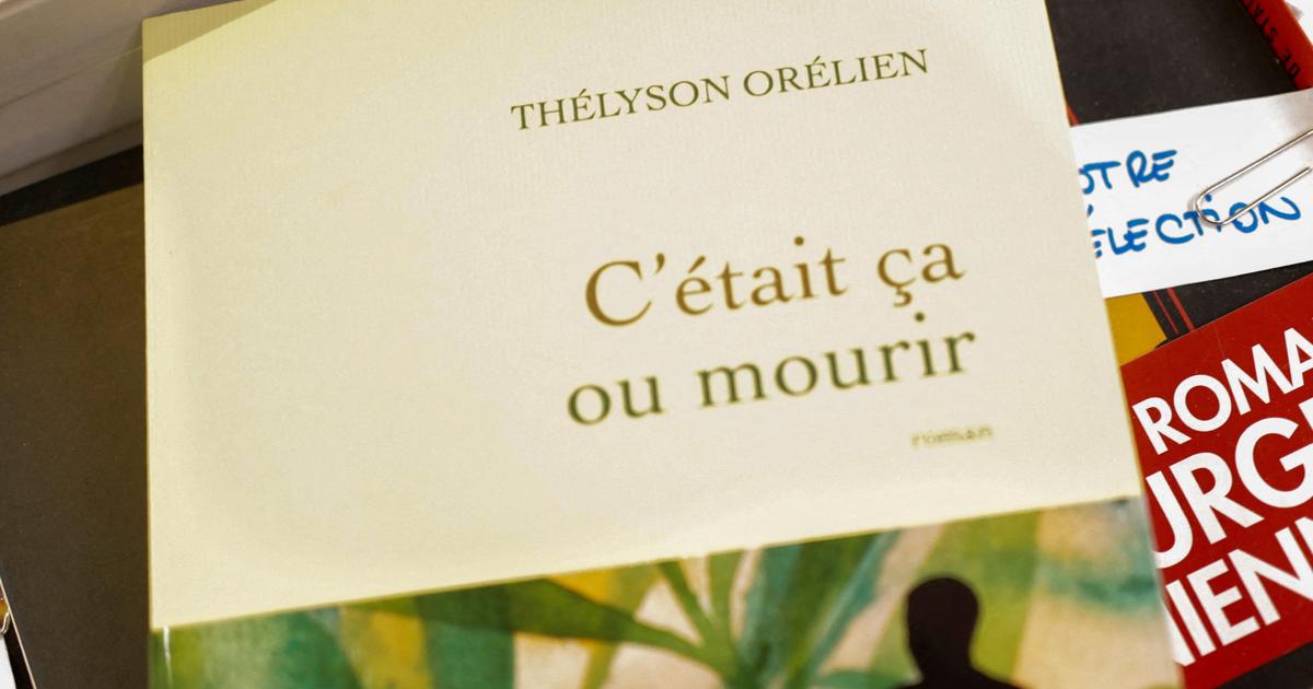 C’était ça ou mourir, le roman de Thélyson Orélien, caracole en tête des ventes malgré la polémique sur le recours à l’IA
