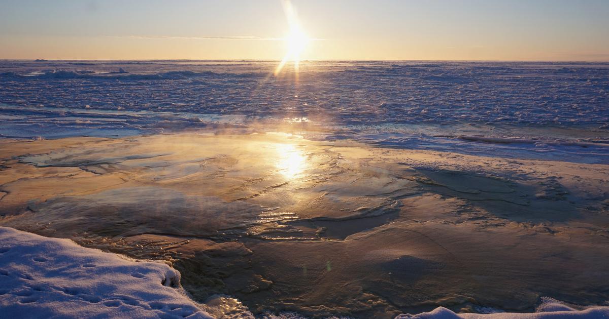 Projet gazier en Alaska : après les annonces de Trump, Séoul assure qu’«aucune décision» d’investissement n’a été prise