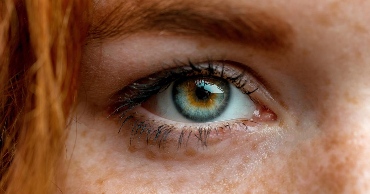 À l’Institut de la vision, on veut restaurer la vue «en stimulant le cerveau par des ultrasons»