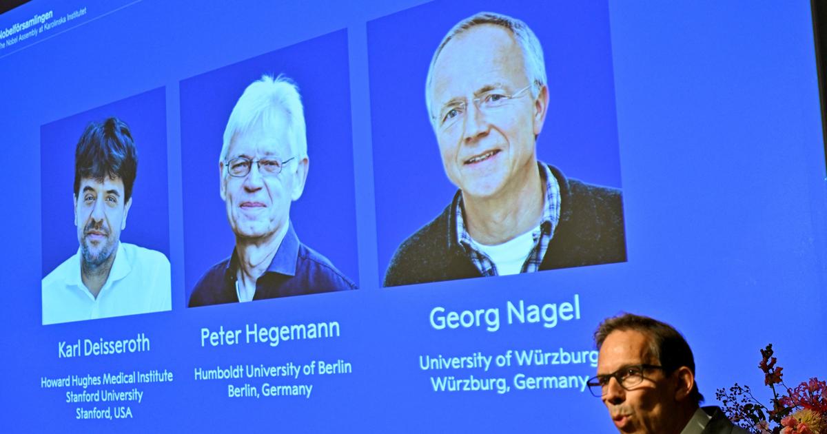 Contrôler les neurones par la lumière : la révolution optogénétique récompensée par le prix Nobel de médecine