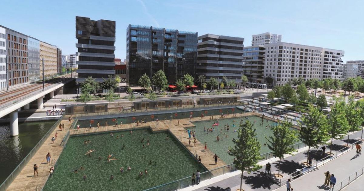 À Lyon, le revirement inattendu de la droite sur le projet controversé de baignade dans la Saône