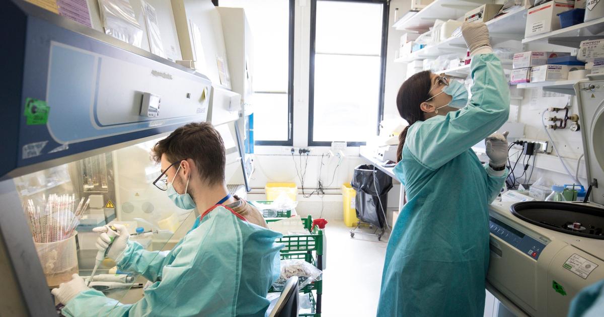 Alzheimer, Parkinson, dépression: et si l’origine de certaines maladies du cerveau se trouvait dans notre microbiote?
