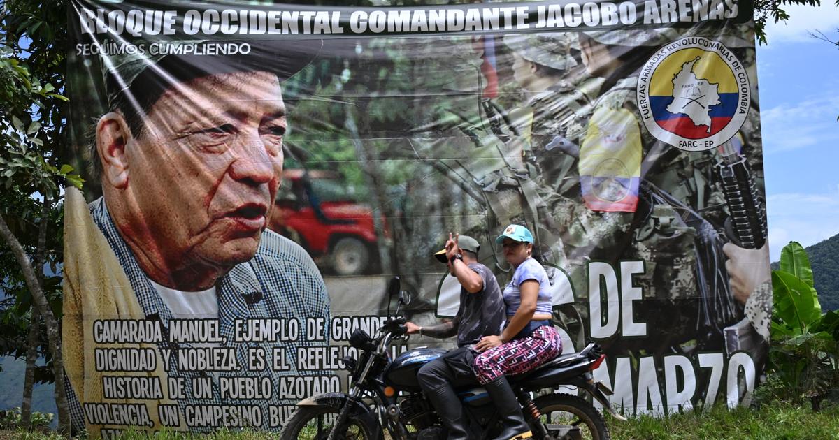 « Un jour sans morts ni blessés nous paraît étrange » : en Colombie, la fragile paix dans la jungle des Farc