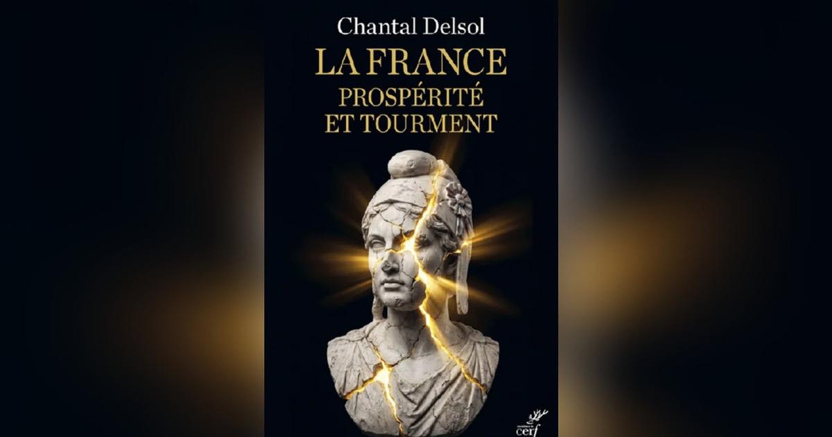 Chantal Delsol : « Nous sommes arrivés au bout de notre cycle socialiste »