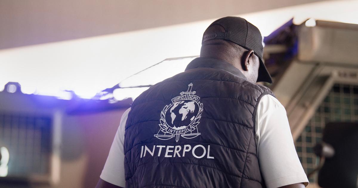 Pédocriminalité en ligne : Interpol annonce l’interpellation de 95 personnes en Europe et en Amérique latine