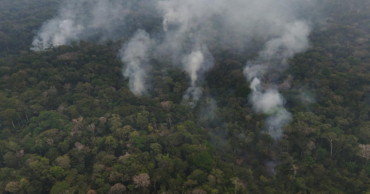 Brésil: la déforestation amazonienne au plus bas niveau depuis près de 40 ans