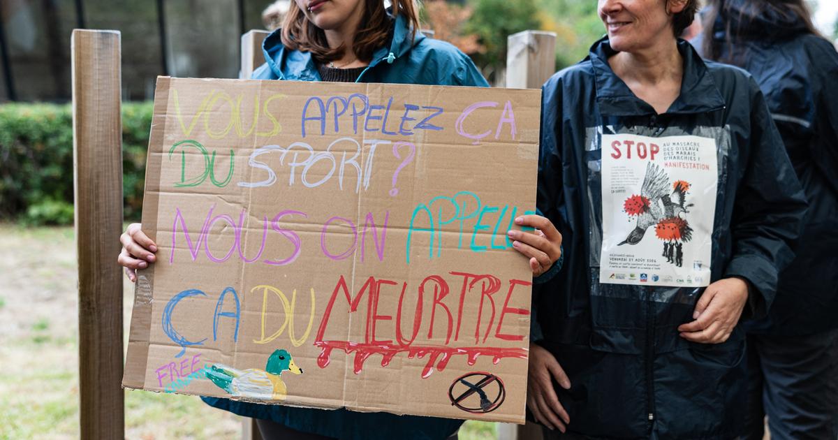 «Accorder le répit aux animaux survivants» : un appel à manifester contre la chasse le 24 octobre après les incendies de l’été