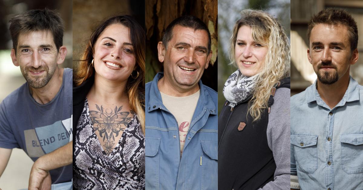 Nos pronostics sur les couples de «L’amour est dans le pré» : lesquels vont se former ? Lesquels vont casser ?