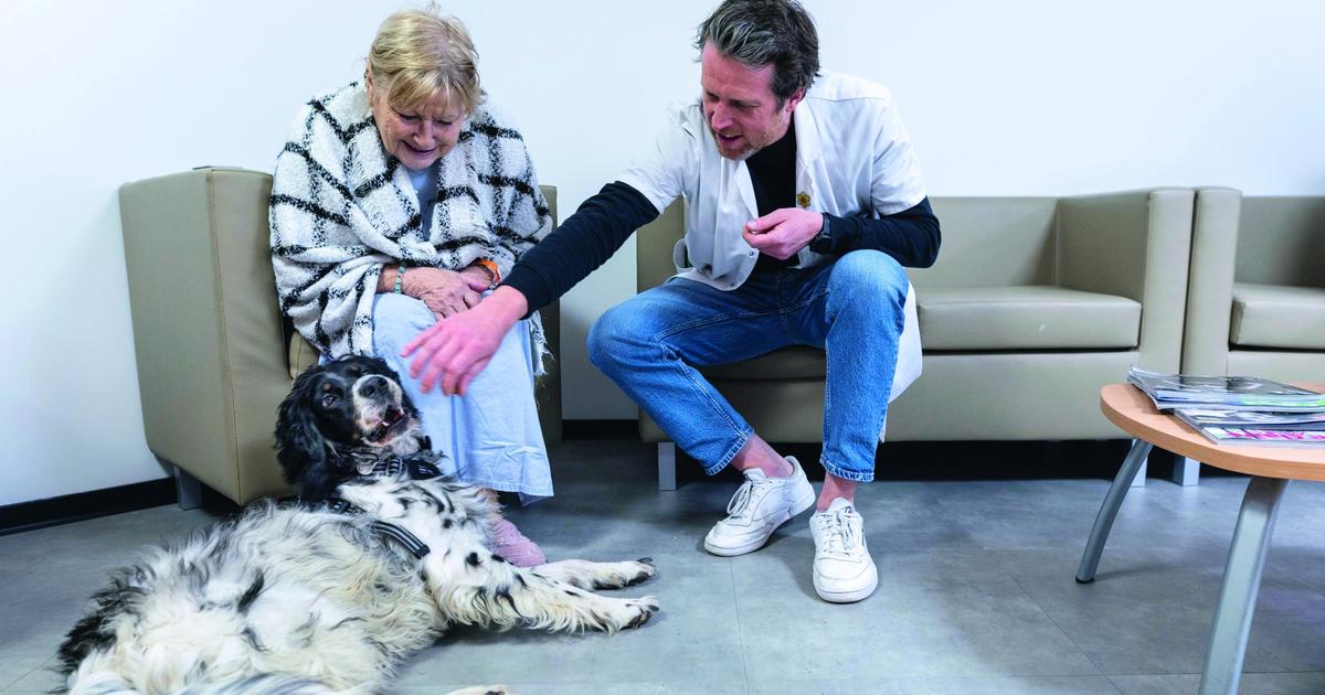 Un jour avec Snoopy, le chien soignant de l’Institut Curie
