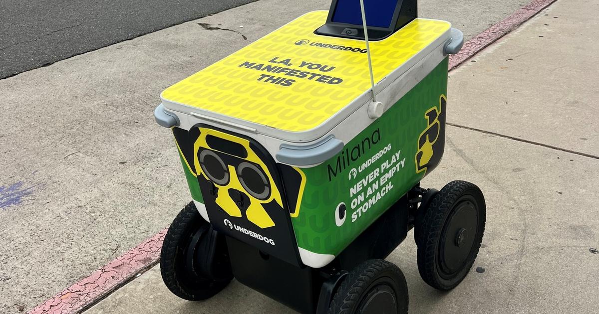 «Il ne rechigne pas pour faire des extras» : à Los Angeles, les robots livreurs se multiplient dans les rues