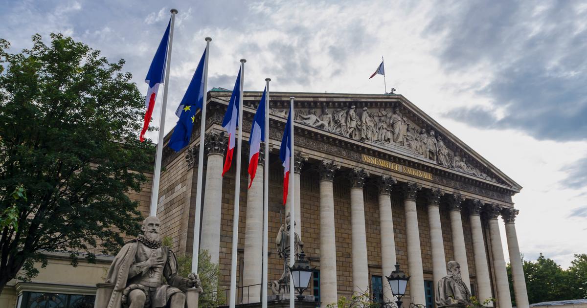 Les députés approuvent l’interdiction de l'hexane dans l'alimentation à partir de 2027