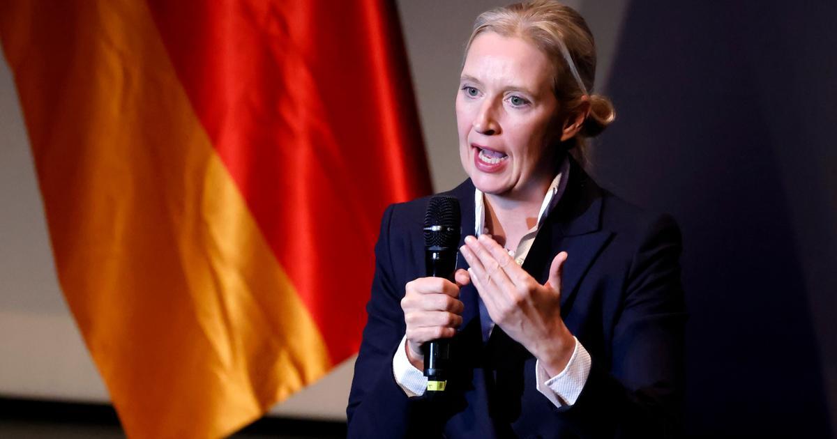 « Un besoin criant de réformes » : la stratégie de l’AfD pour démanteler l’Union européenne