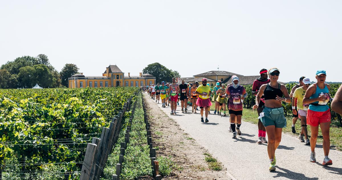 Découverte des terroirs, ambiance festive et sportive Le succès inattendu des marathons dans les vignes