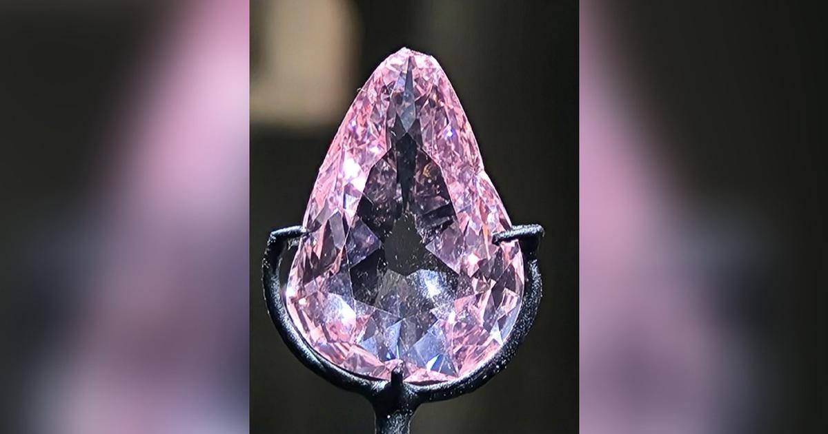 Le diamant rose Grand Condé de retour au château de Chantilly après un siècle