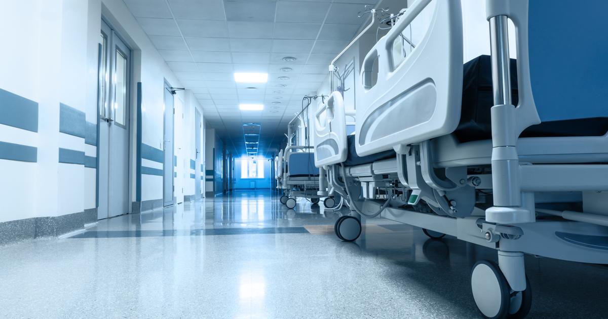 Le virus Shamonda détecté pour la première fois chez un humain, un patient est mort en France