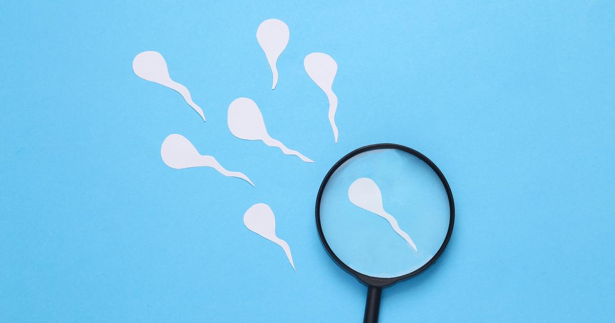«Réversible, sans hormones, et posé en une quinzaine de minutes» : un prototype de stérilet masculin inventé par le CHU de Lille