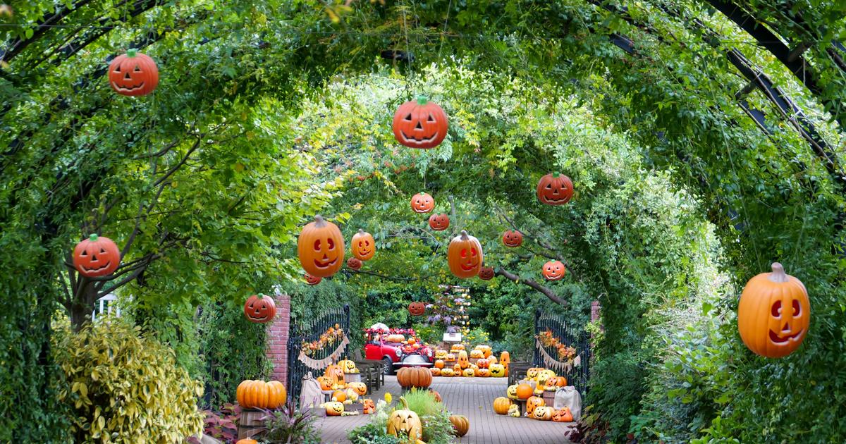 Citrouilles, sorcières, et frissons : Halloween s’invite dans les plus beaux jardins de France