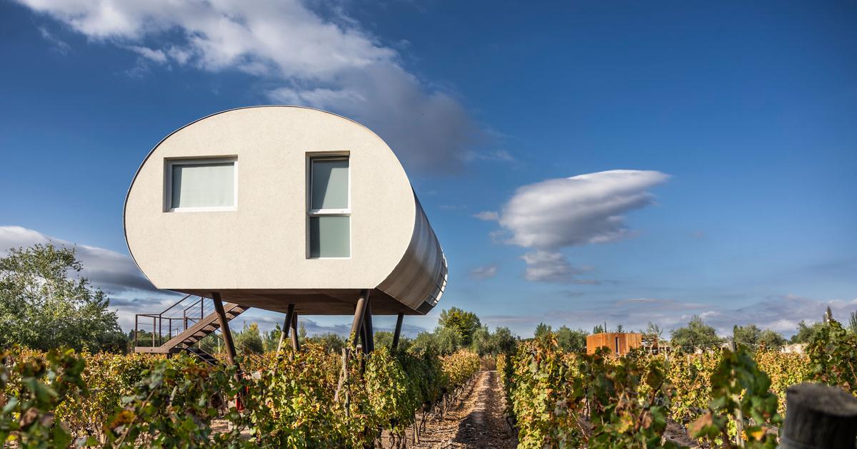 Entre ciel et vignes : dans l’Argentine des volcans, des steppes arides et des sommets prodigieux