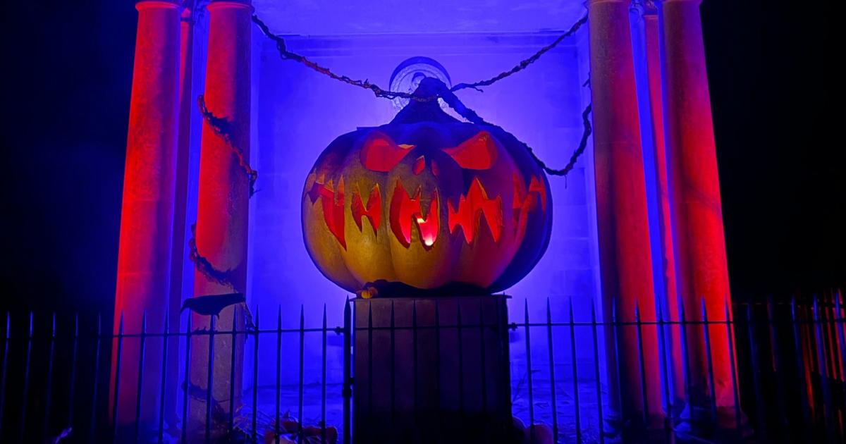 «Halloween, c’est une saison à part entière» : ces passionnés traversent le monde pour le célébrer