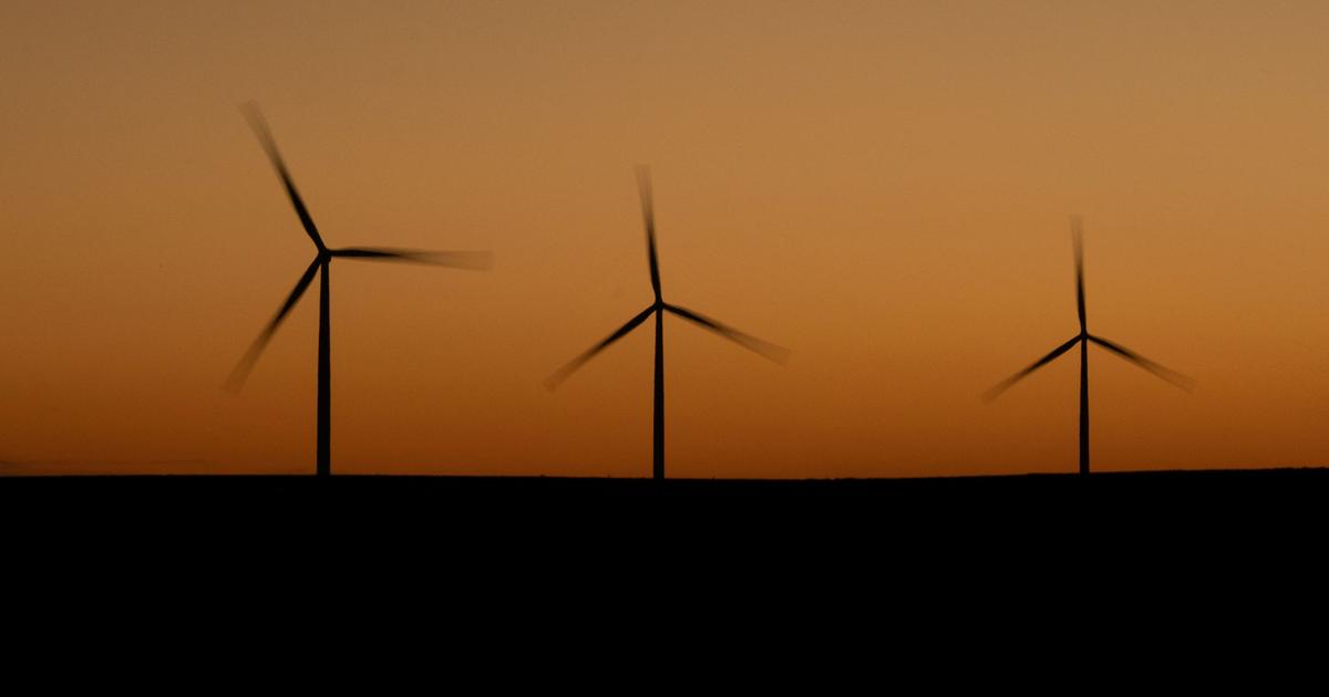 Comment l’arrêt nocturne des éoliennes permet de préserver les chauves-souris