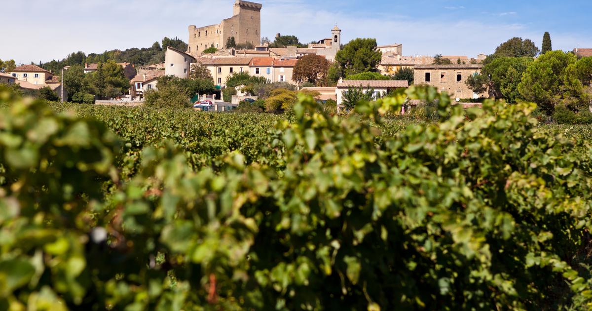 Un châteauneuf-du-pape élu «Wine of the year» 2026 : une immense victoire pour la vallée du Rhône