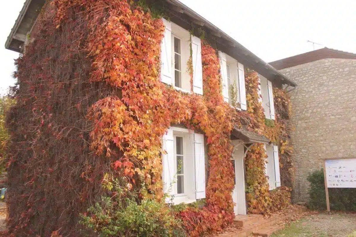 Connu sous le nom de «maison Feuillette», l’endroit accueillait le Centre national de la construction paille qui a fait faillite en 2024.