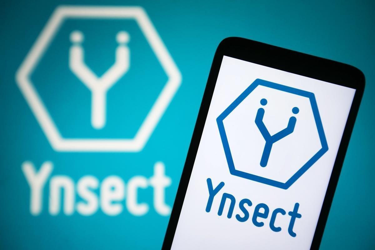 Ynsect : la startup liquidée en décembre avait bénéficié d'environ 148 millions d'euros d'argent public, selon Bercy