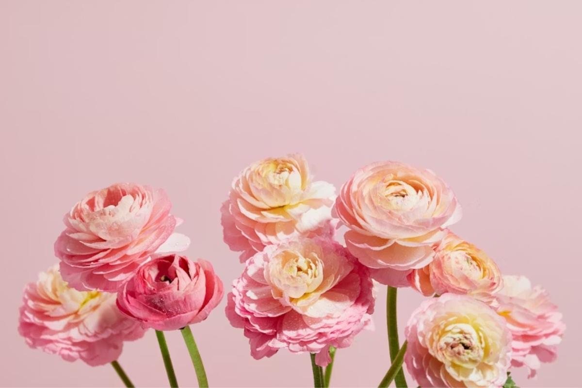 Fête des mères : 3 cadeaux pour lui dire je t’aime autrement qu’avec des mots