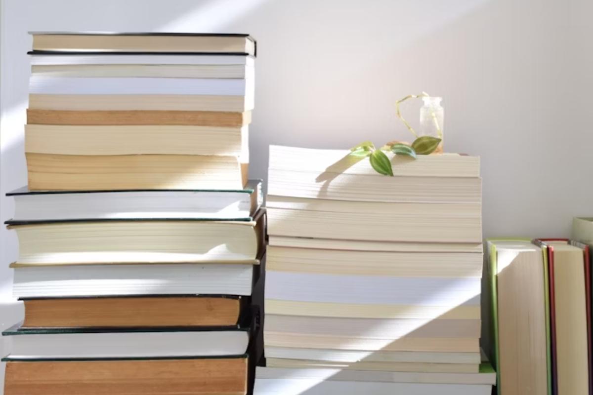 Sélection livres : découvrez vite nos coups de cœur de la rentrée littéraire