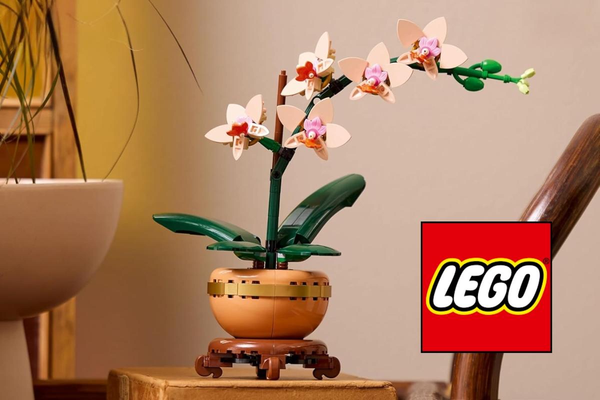 Tout le monde craque pour cette plante LEGO : l’astuce pour la faire passer de 30 € à moins de 10 €