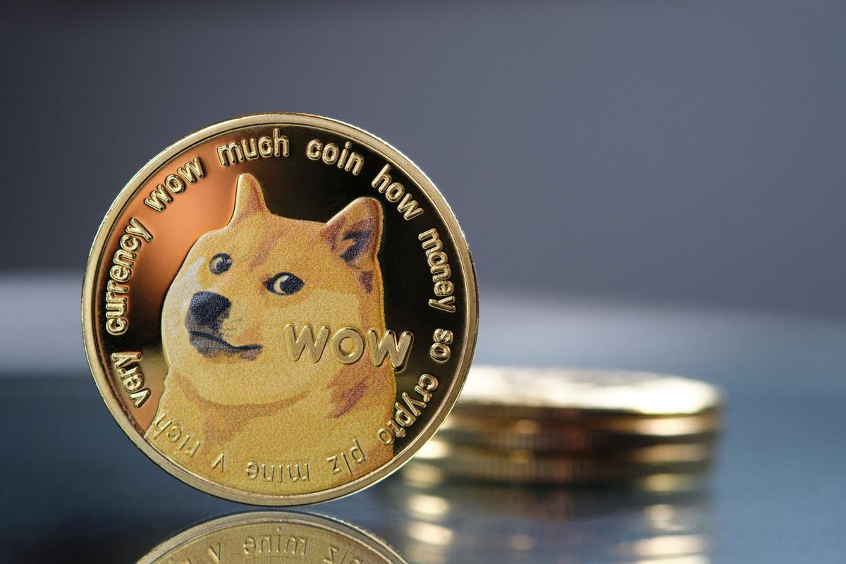 Le Dogecoin bondit, bien aidé par Elon Musk et Tesla