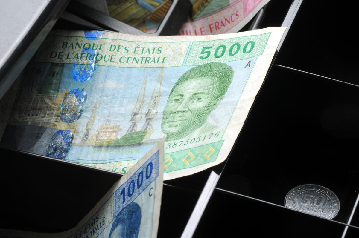 Cryptomonnaies : la Centrafrique lance son memecoin