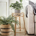 Plantes + rotin = la formule idéale pour faire entrer la nature dans la maison.