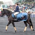 Le 19 janvier, une Folie Douce s’empare de l’Hippodrome Paris-Vincennes pour la finale des Cornulier Races