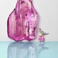 Kunzite de 7500 carats achetée par Tiffany & Co à côté d’une broche Bird on a Rock de Tiffany & Co.