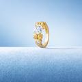 De Beers célèbre le 20ème anniversaire de Talisman