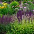 Le chaos gardening ou l’art de faire confiance à la nature.