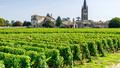 Ces 15 vins de Bordeaux dont la qualité a le plus augmenté depuis 5 ans