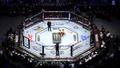 MMA: メディアが UFC ファイターを「科学的に」分類するアルゴリズムをコード化する場合