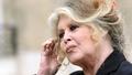 Brigitte Bardot exprime sa joie après la libération de Paul Watson