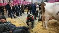 Le Salon de l'agriculture veut encadrer les visites politiques pour éviter de revivre le chaos de l’édition 2024