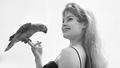 Brigitte Bardot, l’Olympia d’Antoine de Baecque