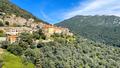 Olmeto, ce village corse où l’on produit l’un des plus grands vins de l’île