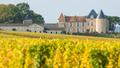 Notre sélection des plus beaux vins de Sauternes et Barsac sur le millésime 2022