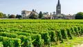 Millésime 2022 à Bordeaux : notre classement des 30 meilleurs vins