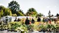 Fêtes des plantes pour les plantations d’automne, jardin botanique : 3 idées sorties pour ce week-end
