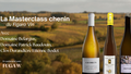 Participez à la prochaine masterclass du Figaro Vin : à la découverte du cépage chenin, roi des vins blancs de Loire