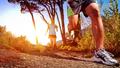 Ultra-trail, ultra-triathlon : l’endurance humaine a-t-elle des limites ?